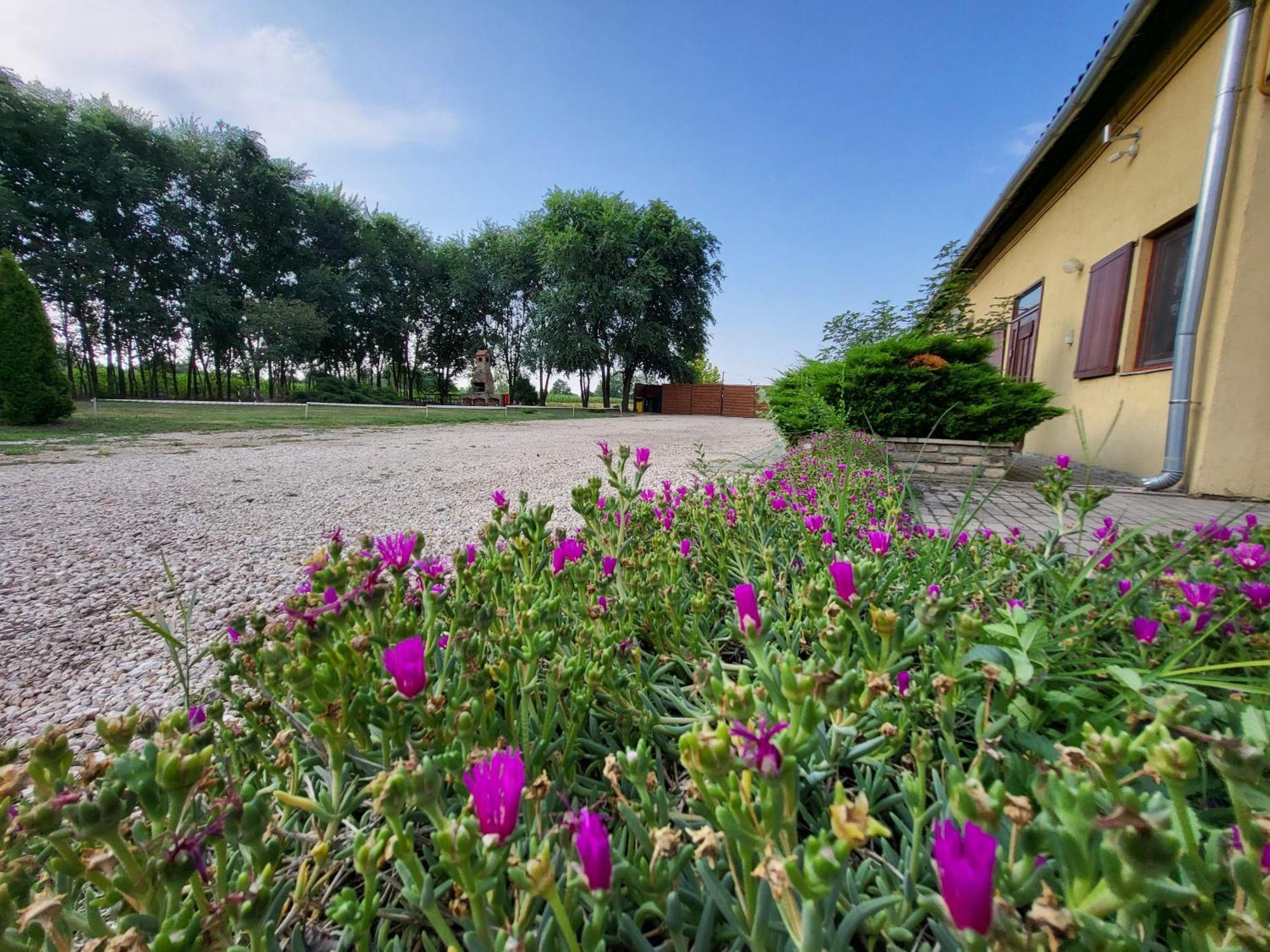 Nyarfas Vendeghaz Hotel Szeged Exterior photo